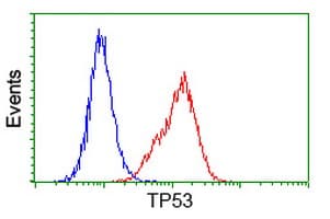 TP53 / p53 Antibody (clone OTI3A6)
