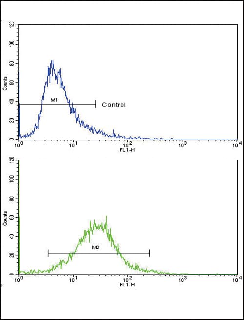 COL6A1 / Collagen VI Alpha 1 Antibody (aa48-77)