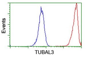 TUBAL3 Antibody (aa150-446, clone OTI2F6, Carrier-free)
