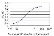 NVL Antibody (clone 3F6)
