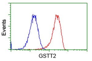 GSTT2 Antibody (clone OTI7A1)