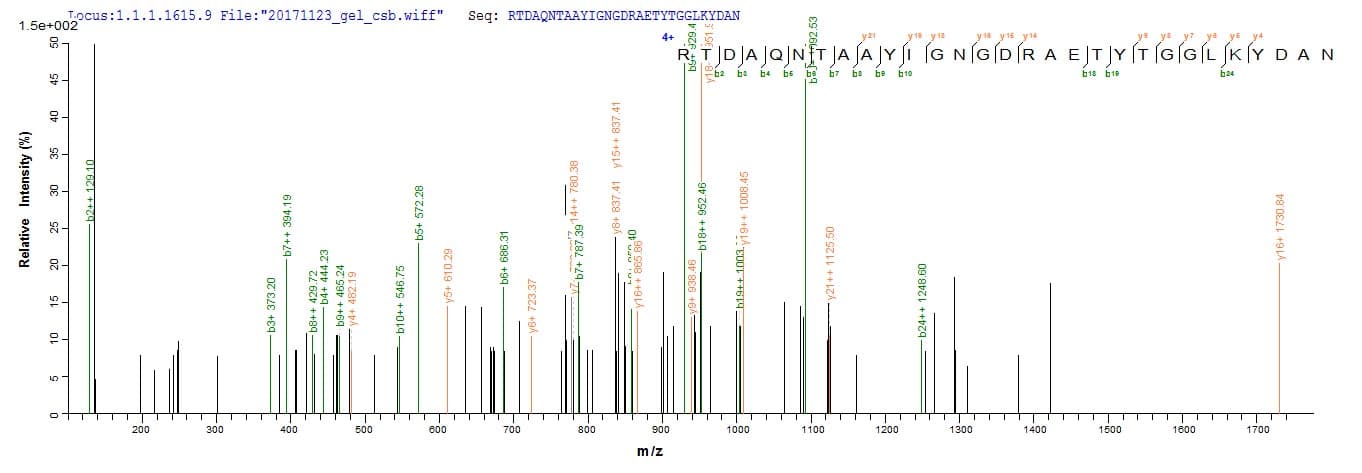 E. coli Outer Membrane Protein C (Recombinant 6His, N-terminus)
