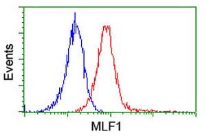 MLF1 Antibody (clone OTI2D6, Carrier-free)