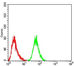 ETF1 / ERF1 Antibody (clone 4F9H12)