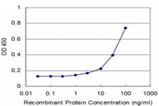 SLIT3 Antibody (clone 1D11)