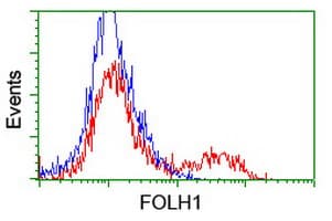 FOLH1 / PSMA Antibody (clone 3H5, Carrier-free)