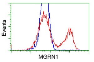 MGRN1 Antibody (clone OTI3A6)