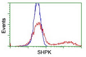 SHPK / CARKL Antibody (clone OTI4E9, Carrier-free)