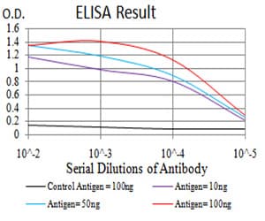 Monoclonal Mouse anti-Human HIST2H3C Antibody (clone 6E7A9, IHC, WB)