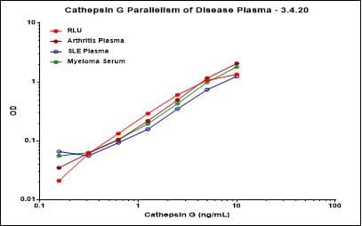 PathPlus™ CHRM5 / M5 Antibody (Cytoplasmic Domain)