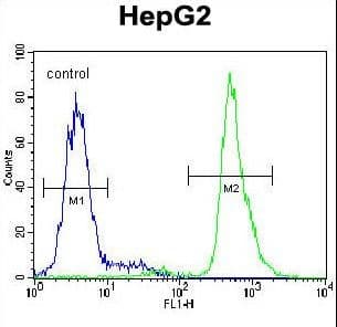 Neuroserpin Antibody (aa19-45)