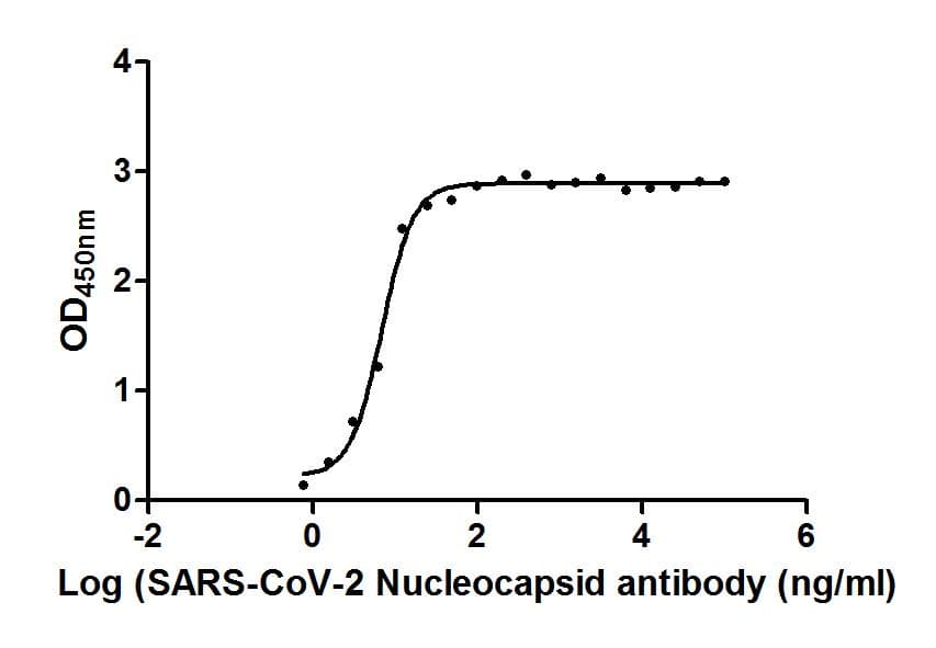 SARS-CoV-2 Nucleoprotein Antibody (aa1-419, clone 1A6)