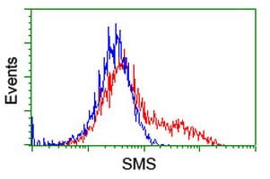 SMS / Spermine Synthase Antibody (clone OTI2H1, Carrier-free)