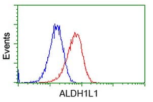 ALDH1L1 Antibody (clone OTI6A10)