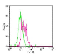Tlr11 Antibody (aa911-926, FITC)
