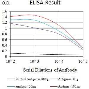 MSR1 / CD204 Antibody (clone 5B8H4)