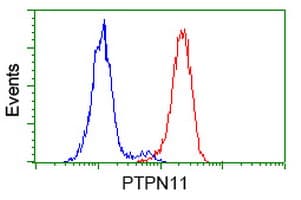 PTPN11 / SHP-2 / NS1 Antibody (clone OTI3F2)