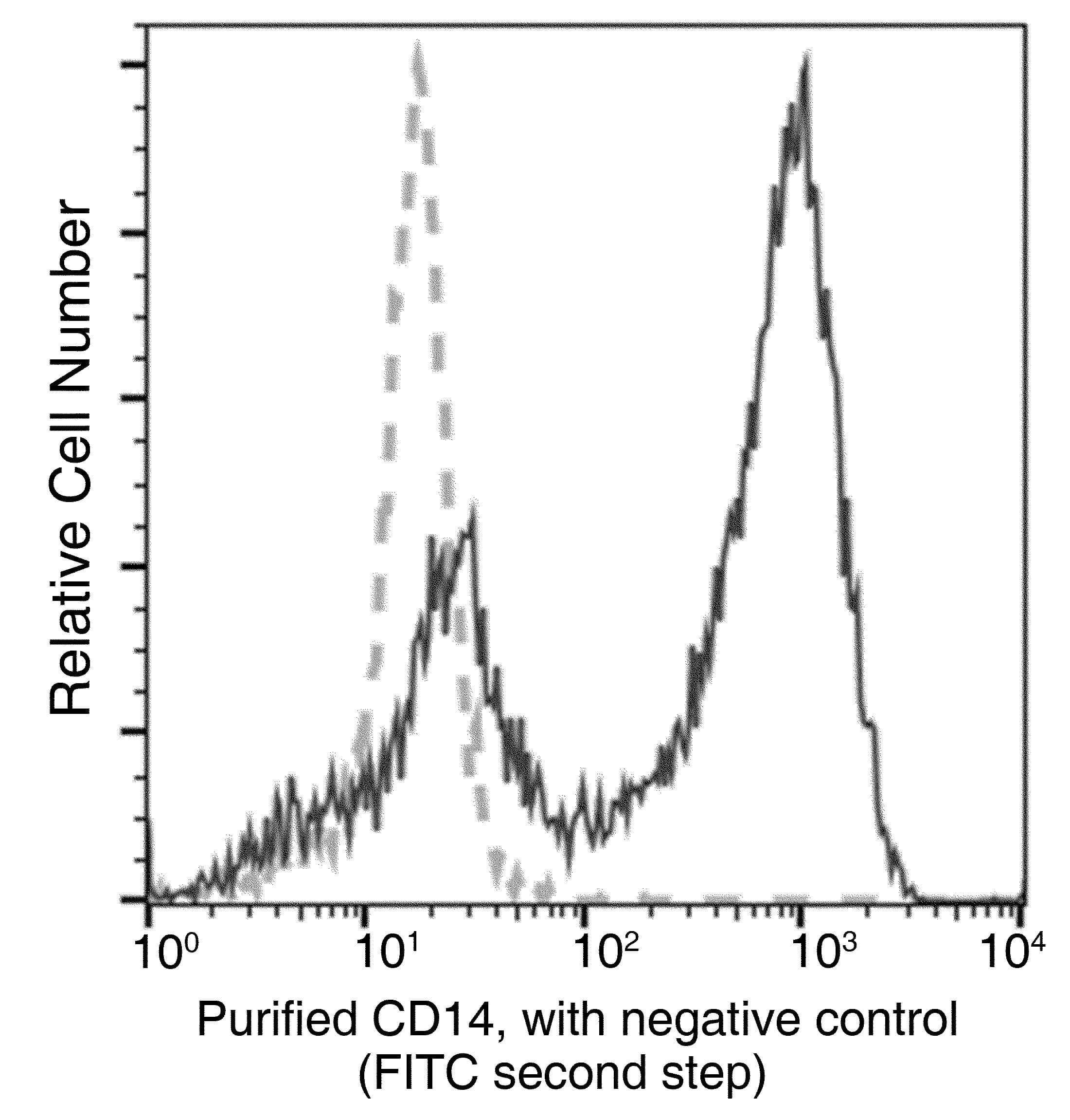 Monoclonal Mouse anti-Crab-eating macaque CD14 Antibody (clone 10, Preservative Free)