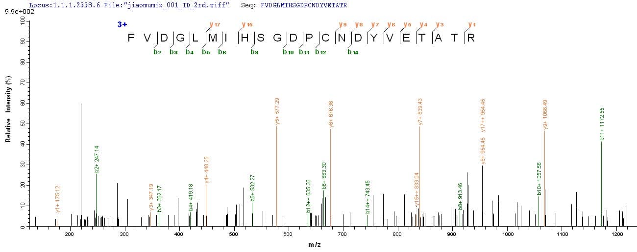Fruit fly RPS3 / Ribosomal Protein S3 (Recombinant 6His, N-terminus)