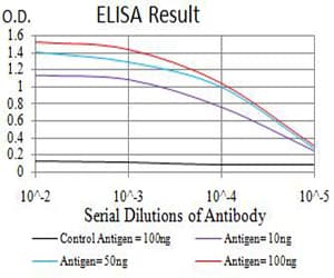 Monoclonal Mouse anti-Human SMARCA1 / SWI Antibody (clone 2H7B9, IHC, WB)