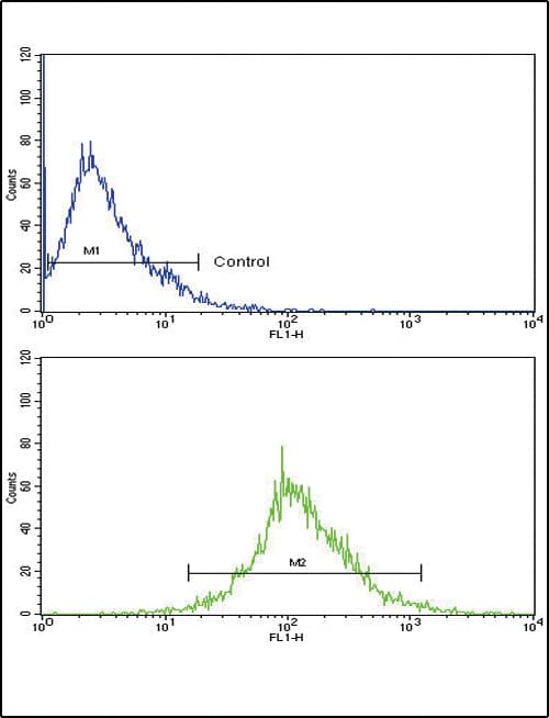 PathPlus™ CTSB / Cathepsin B Antibody (aa198-227)