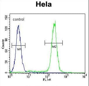 KDM3B / JMJD1B Antibody (aa1328-1358)