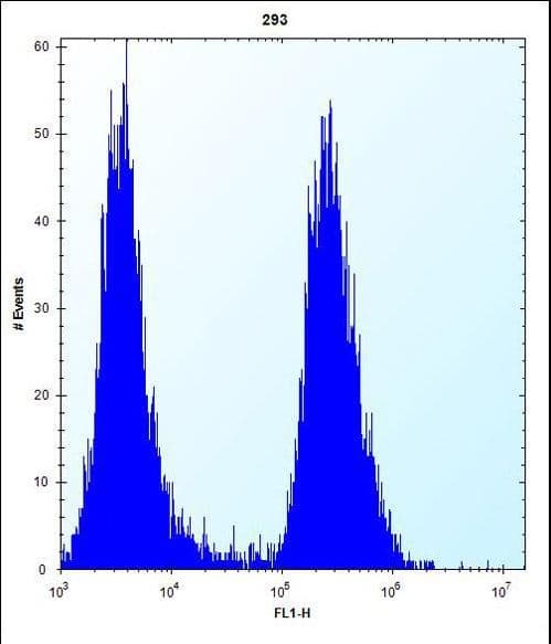 Polyclonal Rabbit anti-Human EIF2B1 Antibody (aa136-163, IHC, WB)
