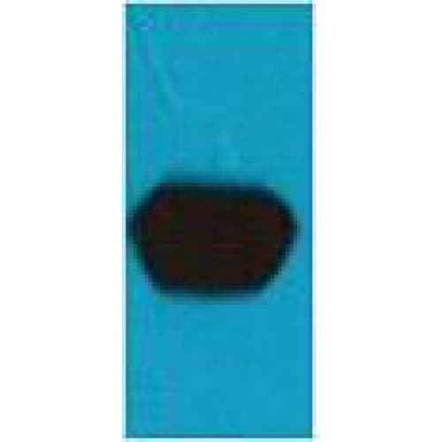 mStrawberry Antibody