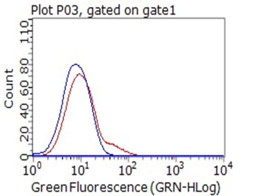 Monoclonal Mouse anti-Human CD80 Antibody (clone OTI1A10, WB)