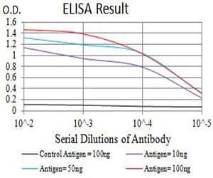Monoclonal Mouse anti-Human GRIK5 / KA2 Antibody (clone 4G5H8, WB)