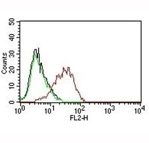 EPCAM Antibody (clone EGP40/837)