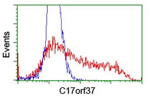 XTP4 / C17orf37 Antibody (clone OTI3D2)