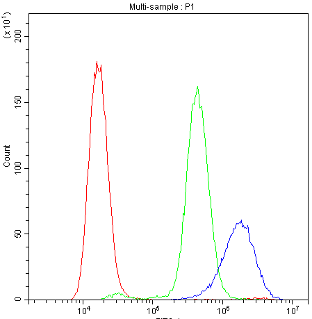 PPIA / Cyclophilin A Antibody