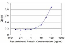 ZBTB25 Antibody (clone 2E8)