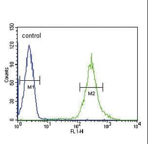 ST8SIA4 Antibody (aa186-214)