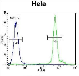 EMG1 / NEP1 Antibody (aa104-133)