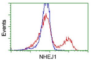 Monoclonal Mouse anti-Human NHEJ1 / XLF Antibody (clone OTI1G5, IF, WB)