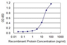 IHC-plus™ Monoclonal Mouse anti-Human ALDH1L1 Antibody (clone 3E9, IHC, IF, WB)