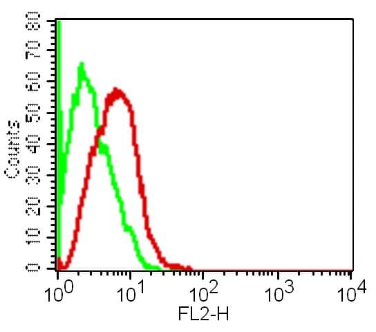 TNF Alpha Antibody