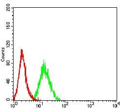 FCGR3B / CD16B Antibody (clone 8F1C10)
