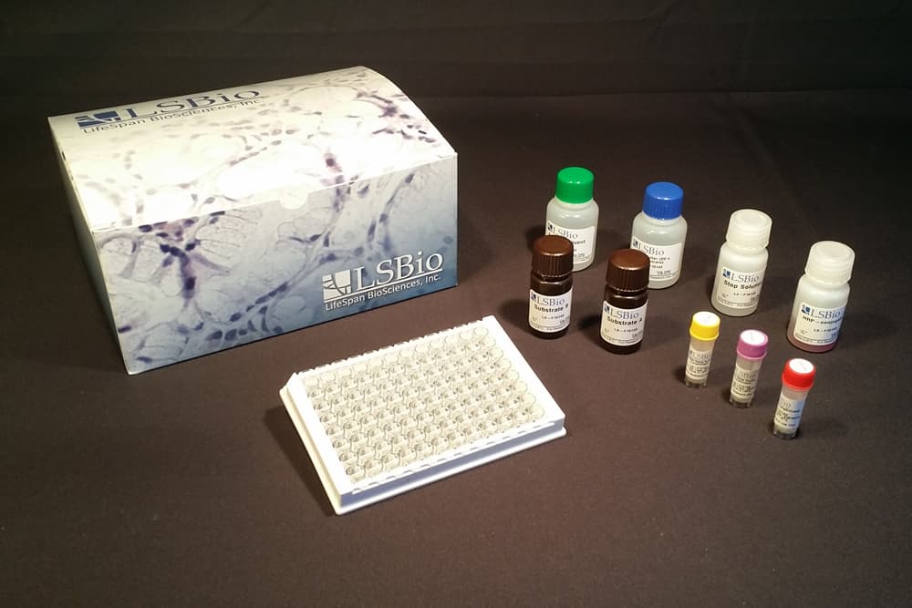 Human Arachidonic Acid ELISA Kit (Competitive EIA)
