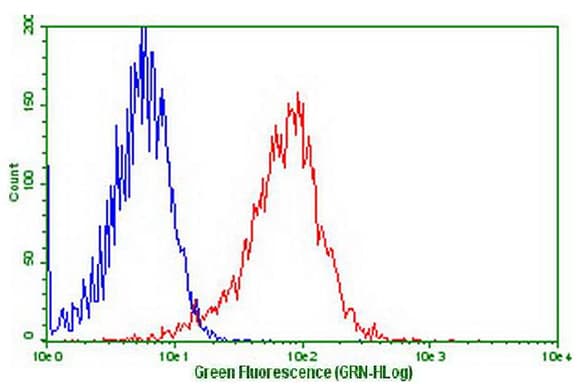 GPR49 / LGR5 Antibody (aa22-543, clone OTI7F2)