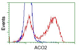 ACO2 / Aconitase 2 Antibody (clone OTI7G4, Carrier-free)