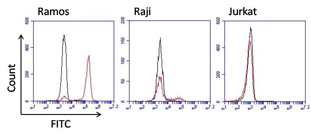 Monoclonal Mouse Anti-Human IgM Secondary Antibody (clone P5E2, WB)