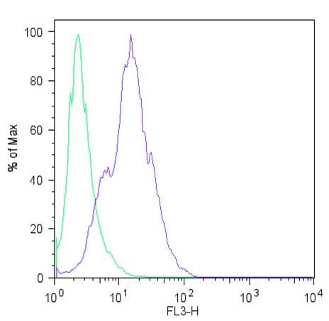 IHC-plus™ Polyclonal Rabbit anti-Human LIN28A / LIN28 Antibody (IHC, IF, WB)