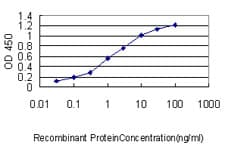 Monoclonal Mouse anti-Human MPP3 Antibody (clone 4D7, WB)