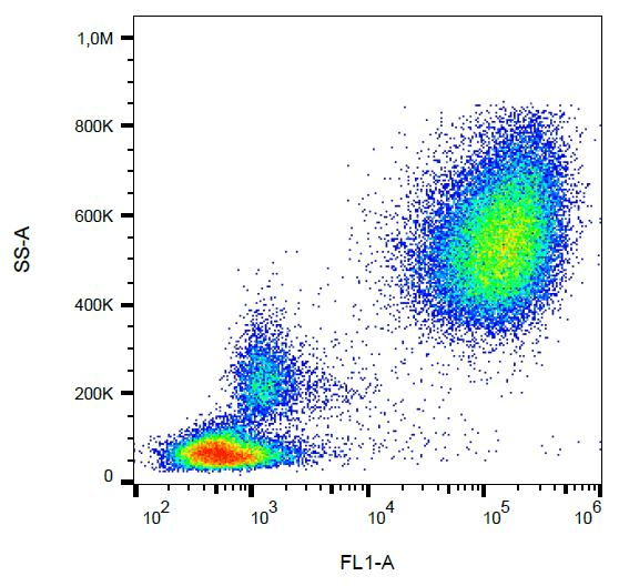 CD65 Antibody (clone VIM8, FITC)