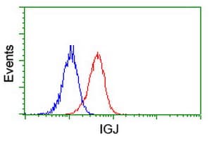 JCHAIN / Ig J Chain Antibody (clone OTI2H8)