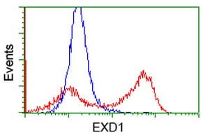 EXD1 Antibody (clone OTI3H7)