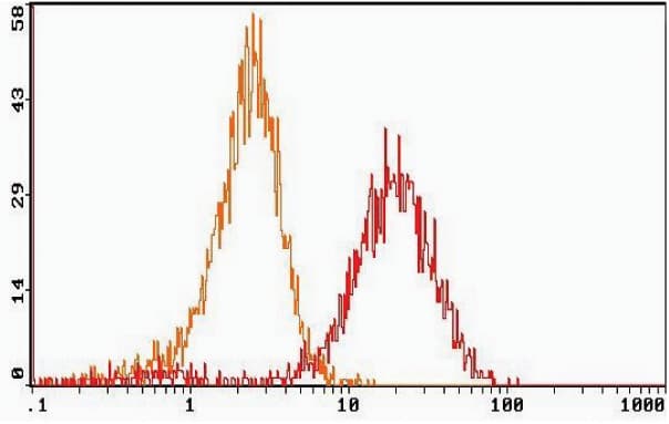 C3AR / C3a Receptor Antibody (clone 74/rC3aRZ1)